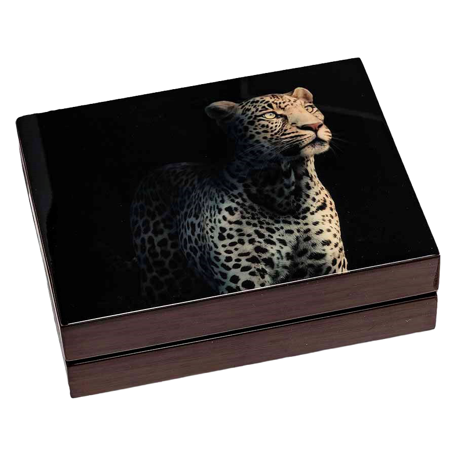 2 Coin Gold Set - Big Five Leopard Proof 2026 thumbnail 6