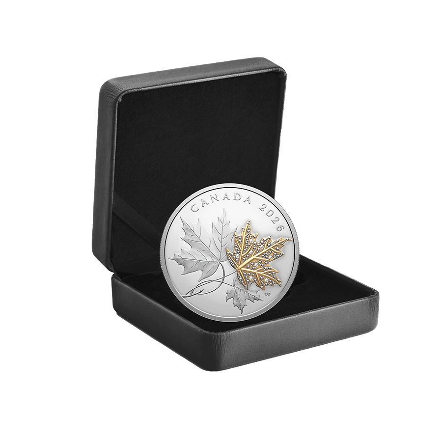 2 ounce Silver Coin - Precious Maple Leaf thumbnail 5