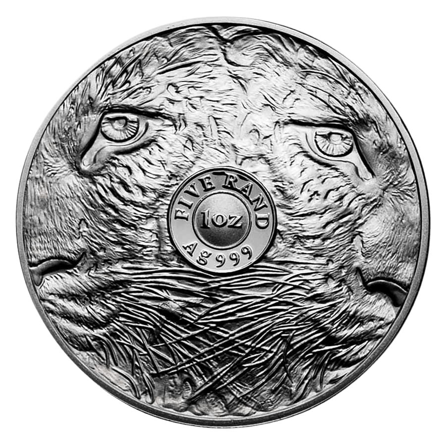 2 Coin Silver Set - Big Five Leopard Proof 2026 thumbnail 4