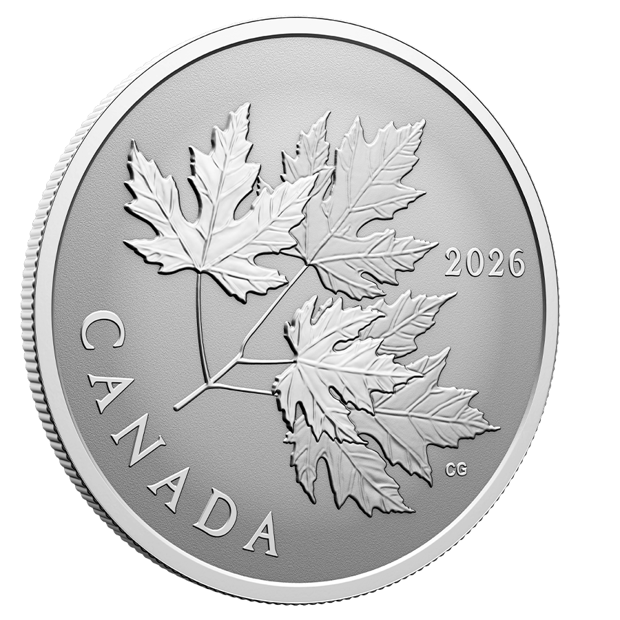1/2 ounce Silver Coin - Gleaming Maple Leaves thumbnail 3