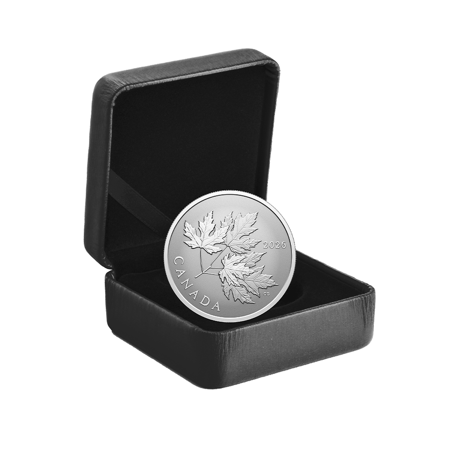 1/2 ounce Silver Coin - Gleaming Maple Leaves thumbnail 5