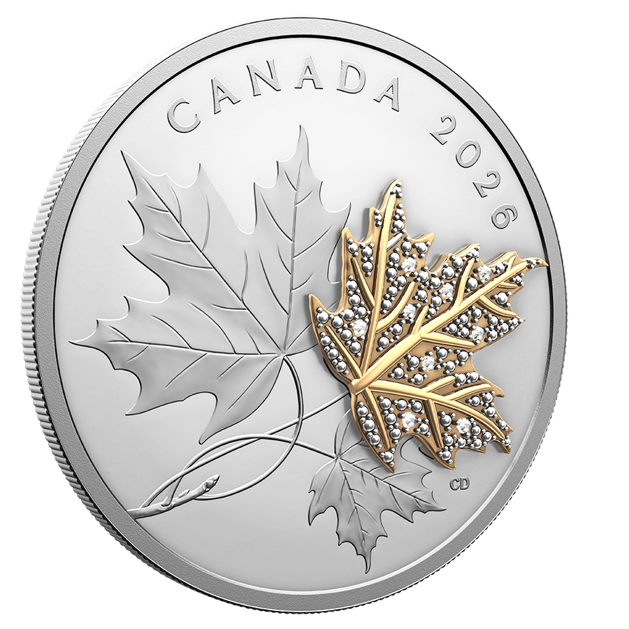 2 ounce Silver Coin - Precious Maple Leaf thumbnail 3