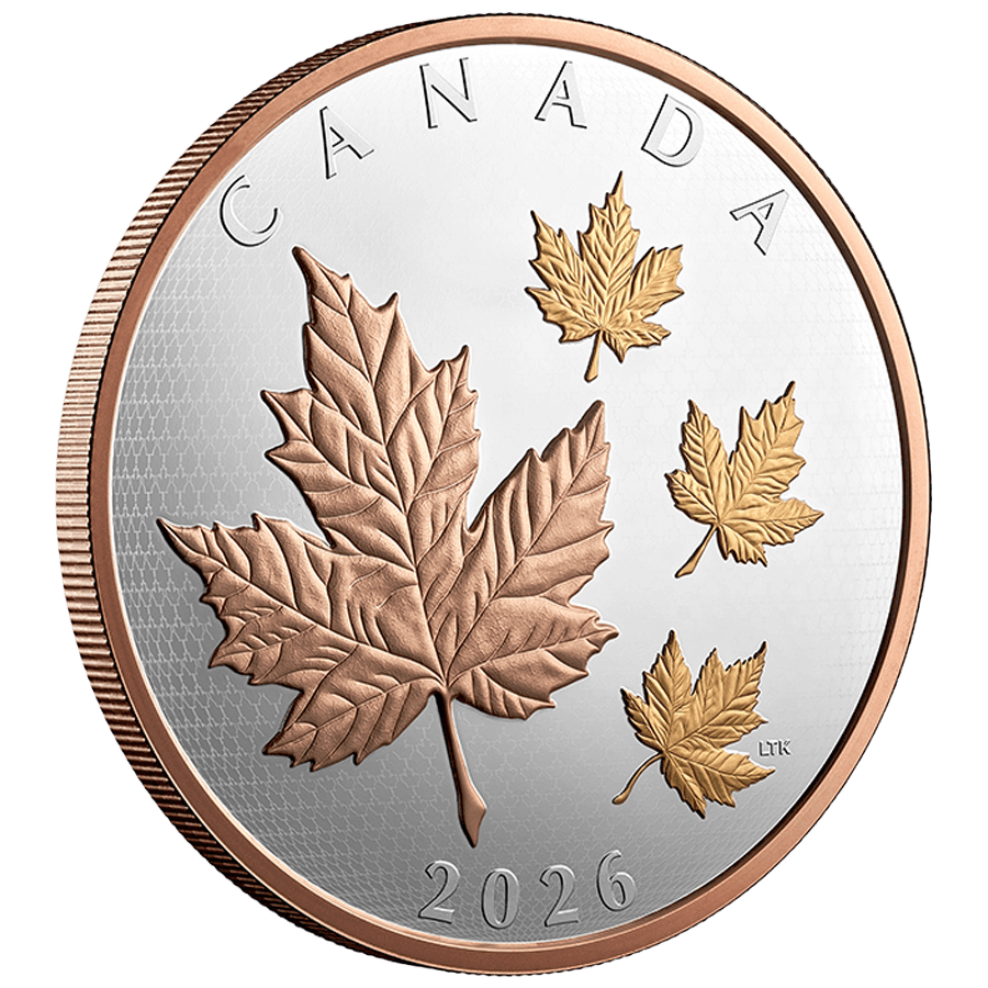 5 ounce Silver Coin - Maple Leaves in Motion thumbnail 3