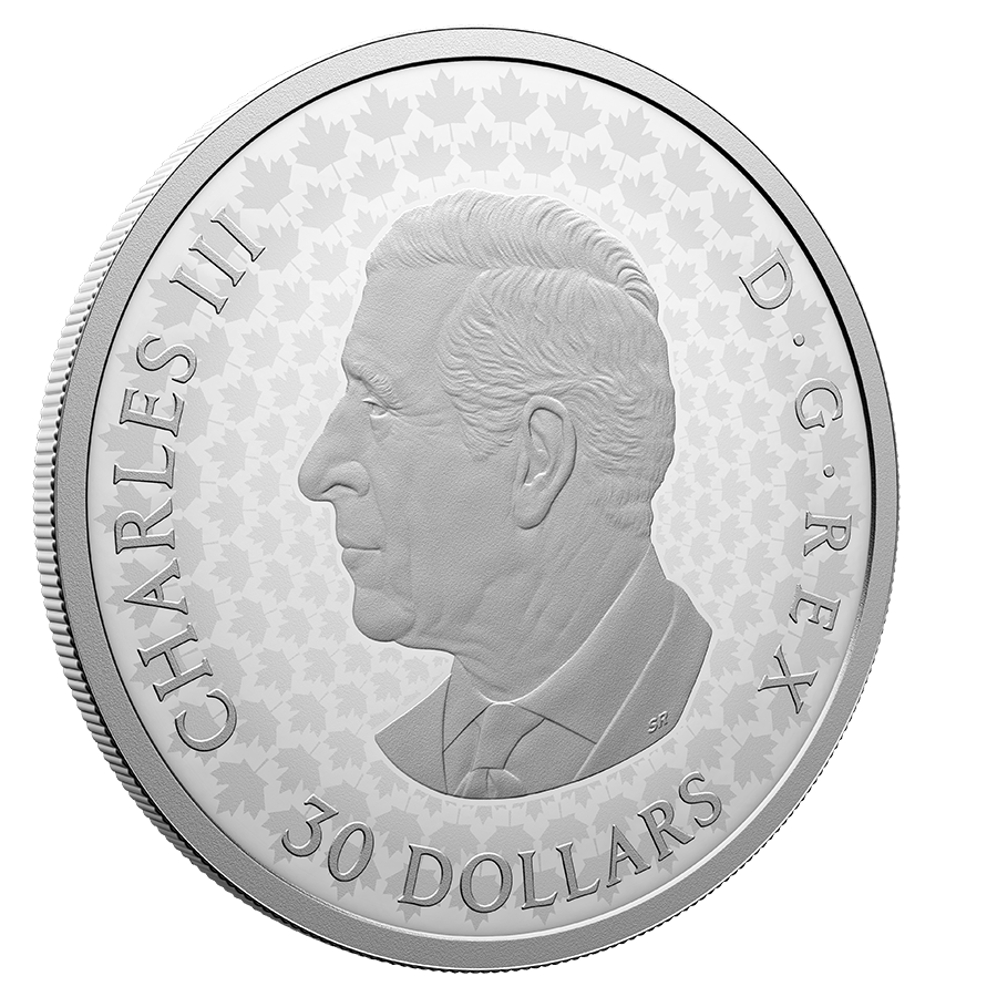 2 ounce Silver Coin - Precious Maple Leaf thumbnail 4