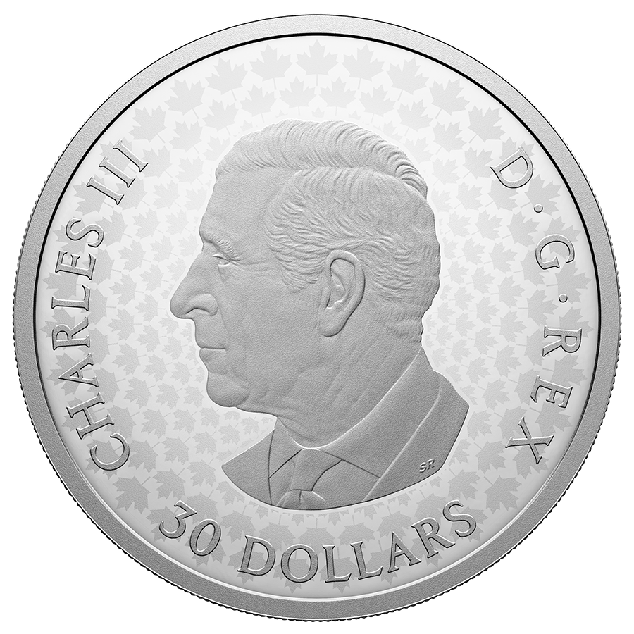 2 ounce Silver Coin - Precious Maple Leaf thumbnail 2