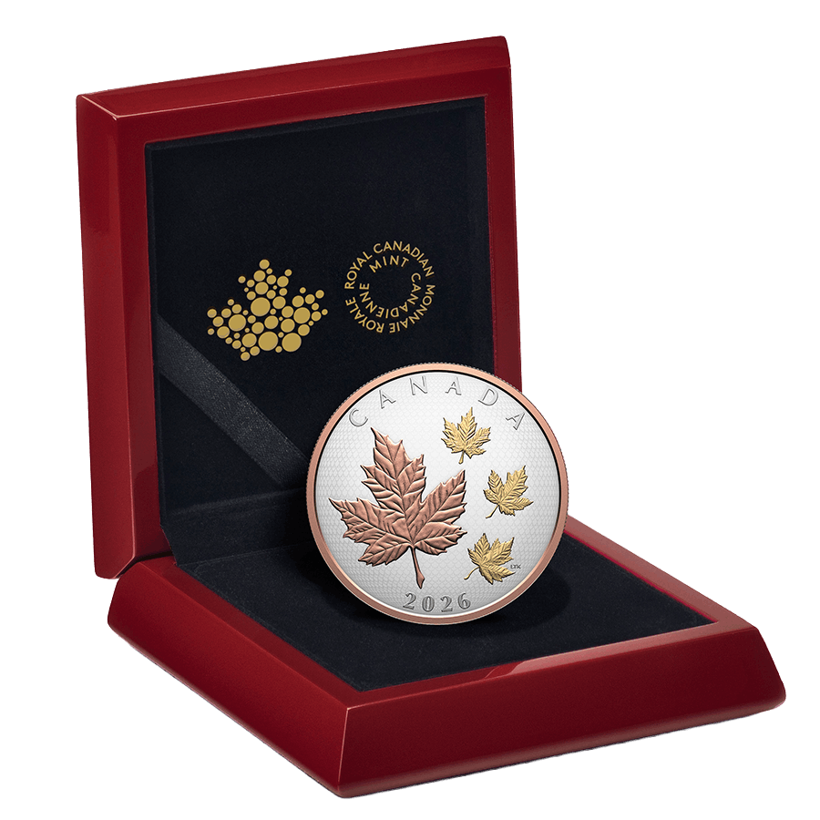 5 ounce Silver Coin - Maple Leaves in Motion thumbnail 5