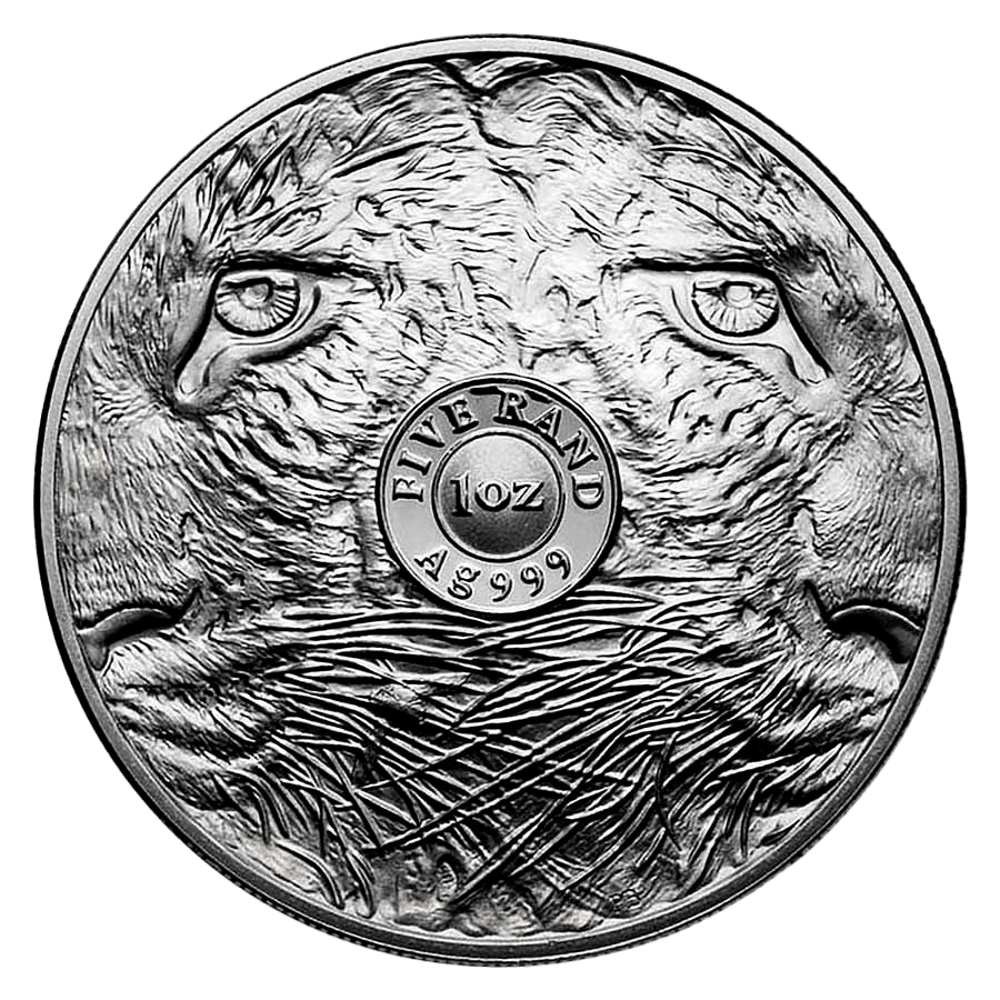 2 Coin Silver Set - Big Five Leopard Proof 2026 thumbnail 5