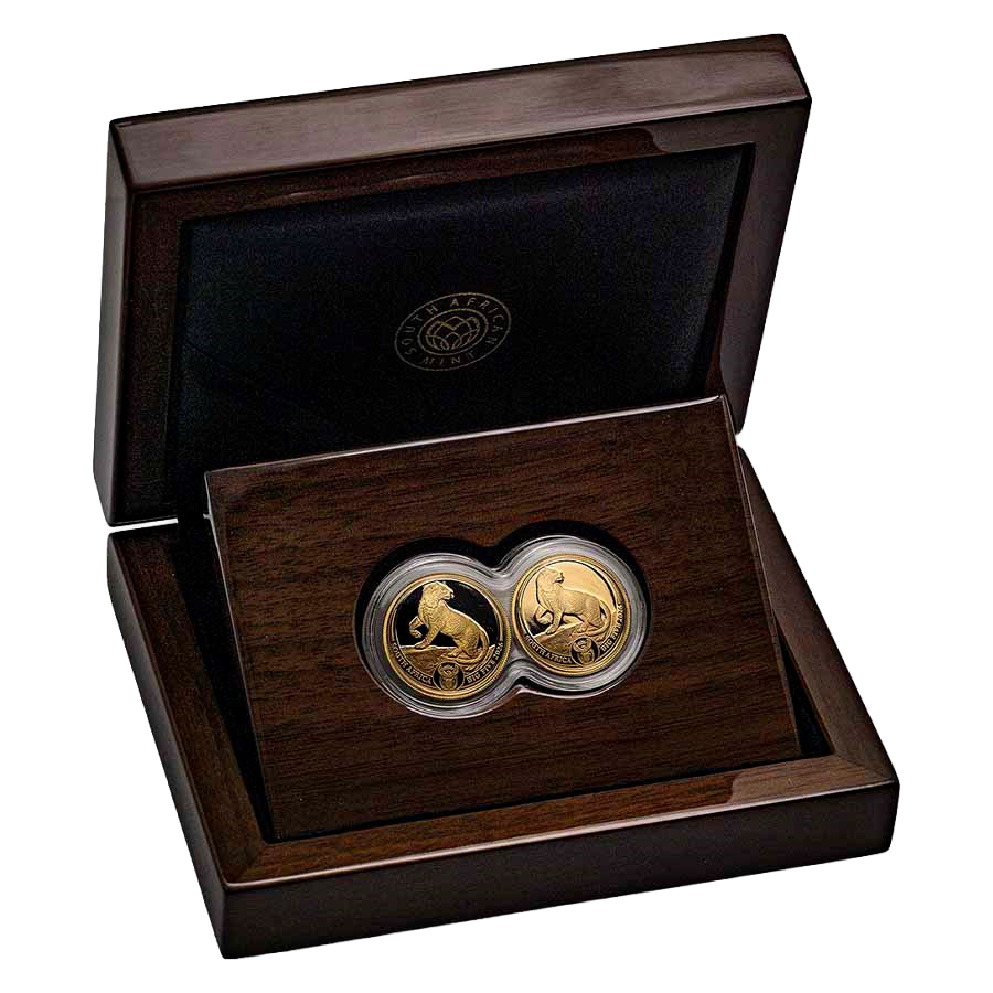 2 Coin Gold Set - Big Five Leopard Proof 2026 — photo 1