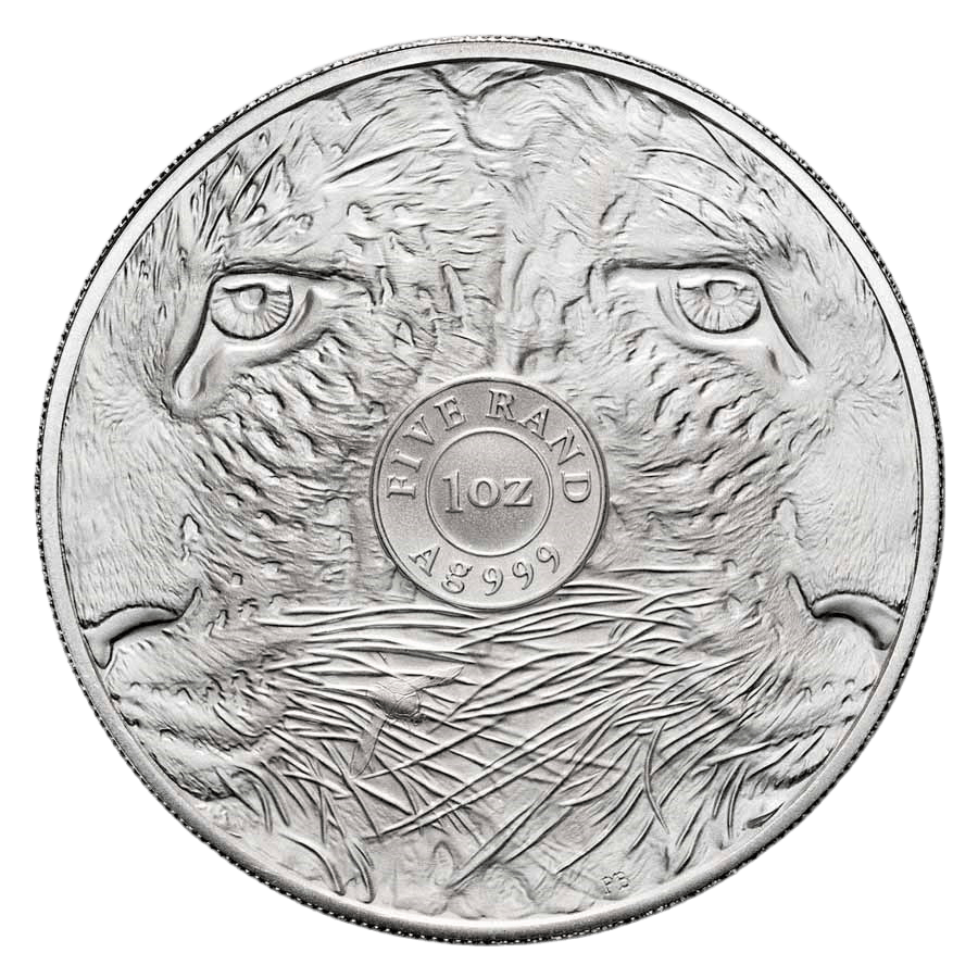 1 ounce Silver Coin - South Africa Big Five Leopard 2026 thumbnail 2