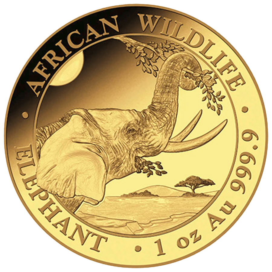 1 ounce Gold Coin - Somalia Elephant 2023 — photo 1